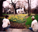  flowerbed sprinkler system